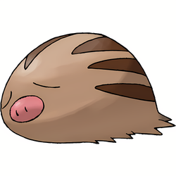 Marcacrin