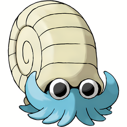 Amonita