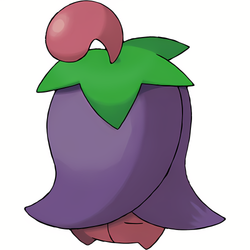 Ceriflor