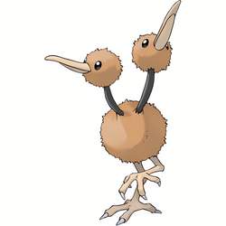 Doduo