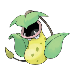 Empiflor