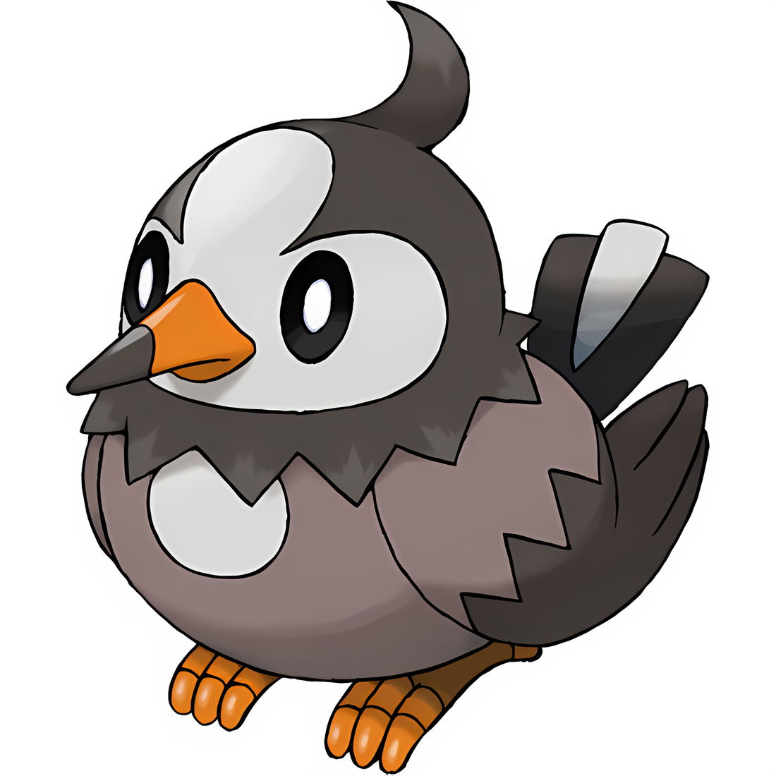Étourmi, artwork officiel Pokémon