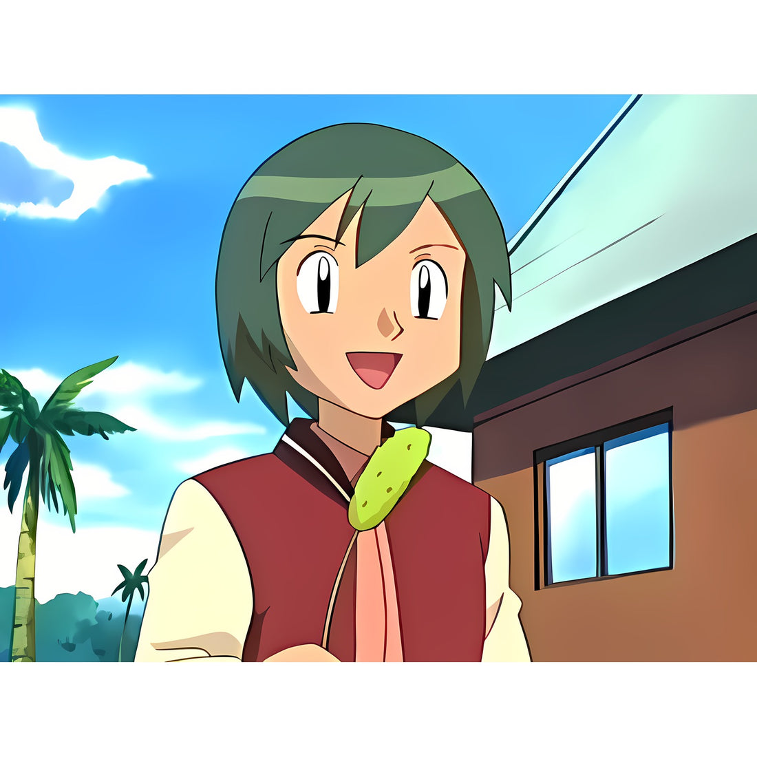 Joshua, artwork officiel Pokémon