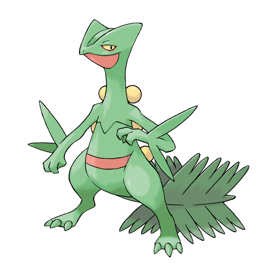 Jungko, artwork officiel Pokémon