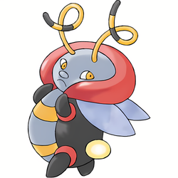 Muciole