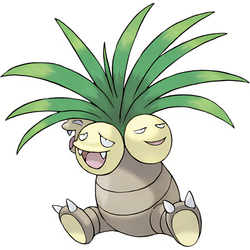 Noadkoko