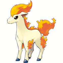 Ponyta