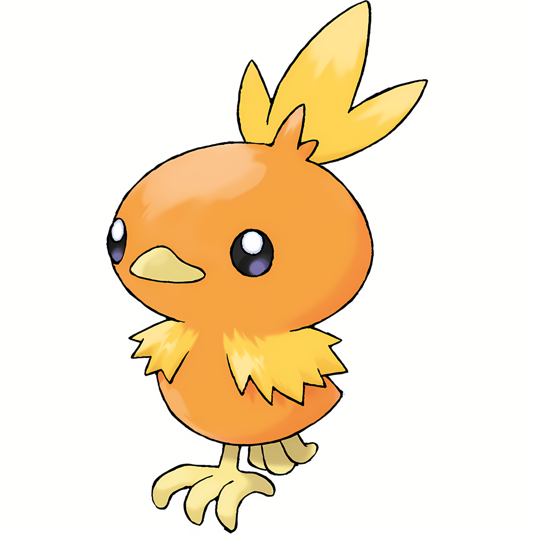 Poussifeu, artwork officiel Pokémon