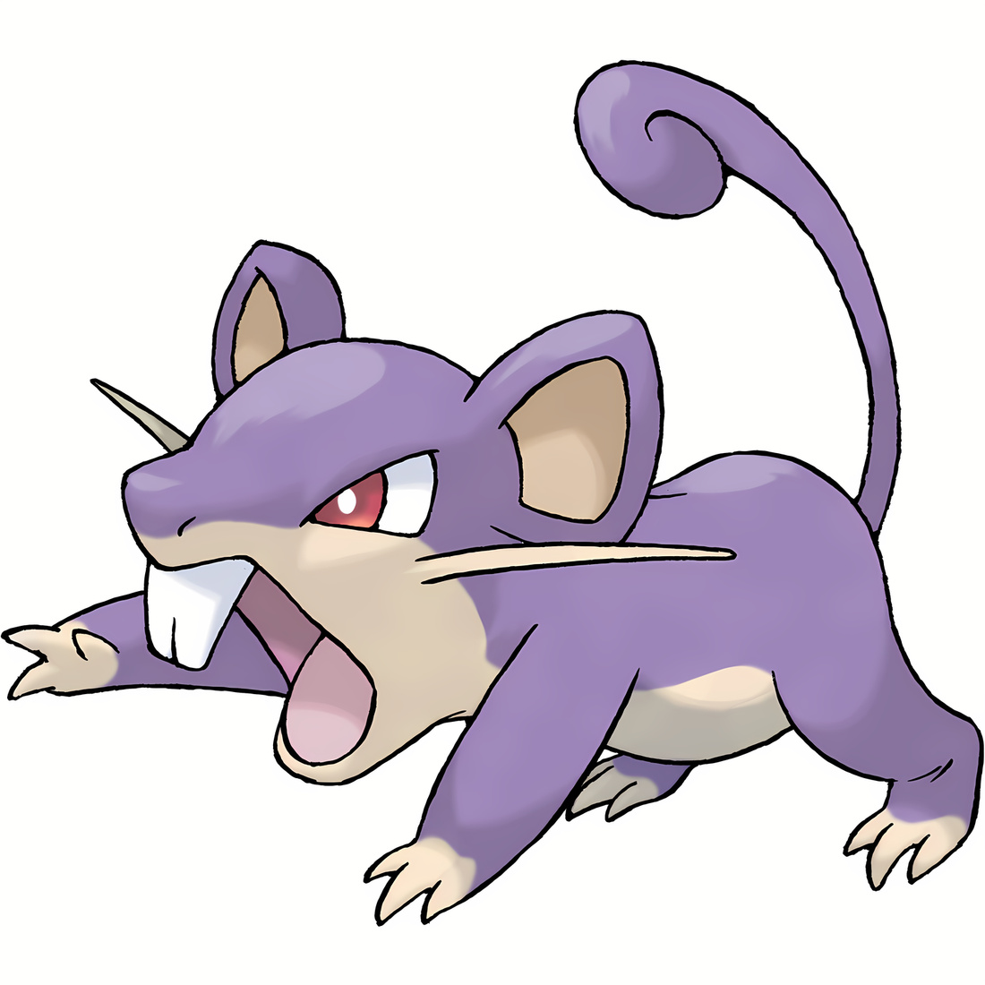 Rattata, artwork officiel Pokémon
