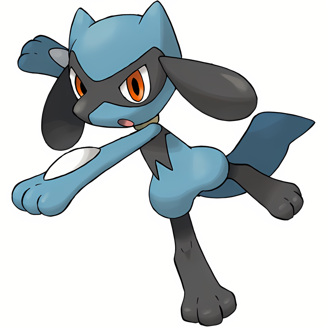 Riolu, artwork officiel Pokémon