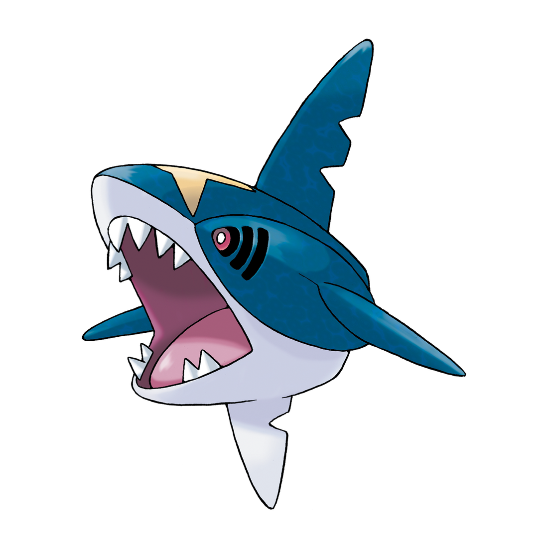 Sharpedo, artwork officiel Pokémon