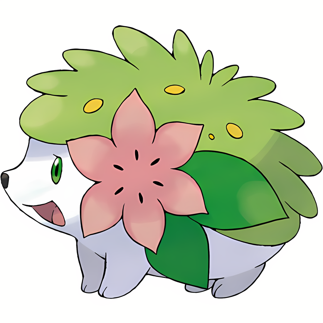 Shaymin, artwork officiel Pokémon