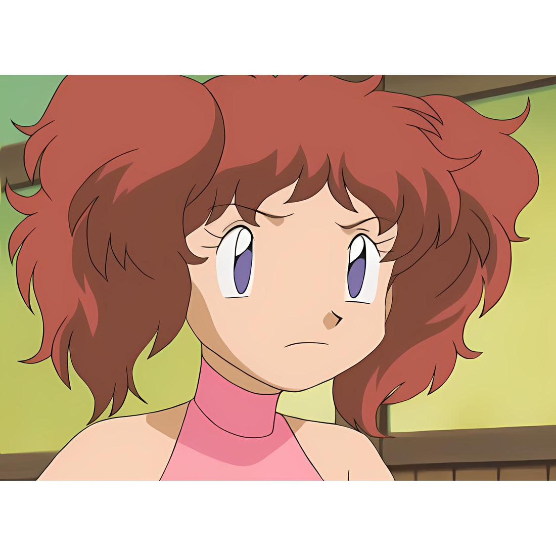 Terry, artwork officiel Pokémon