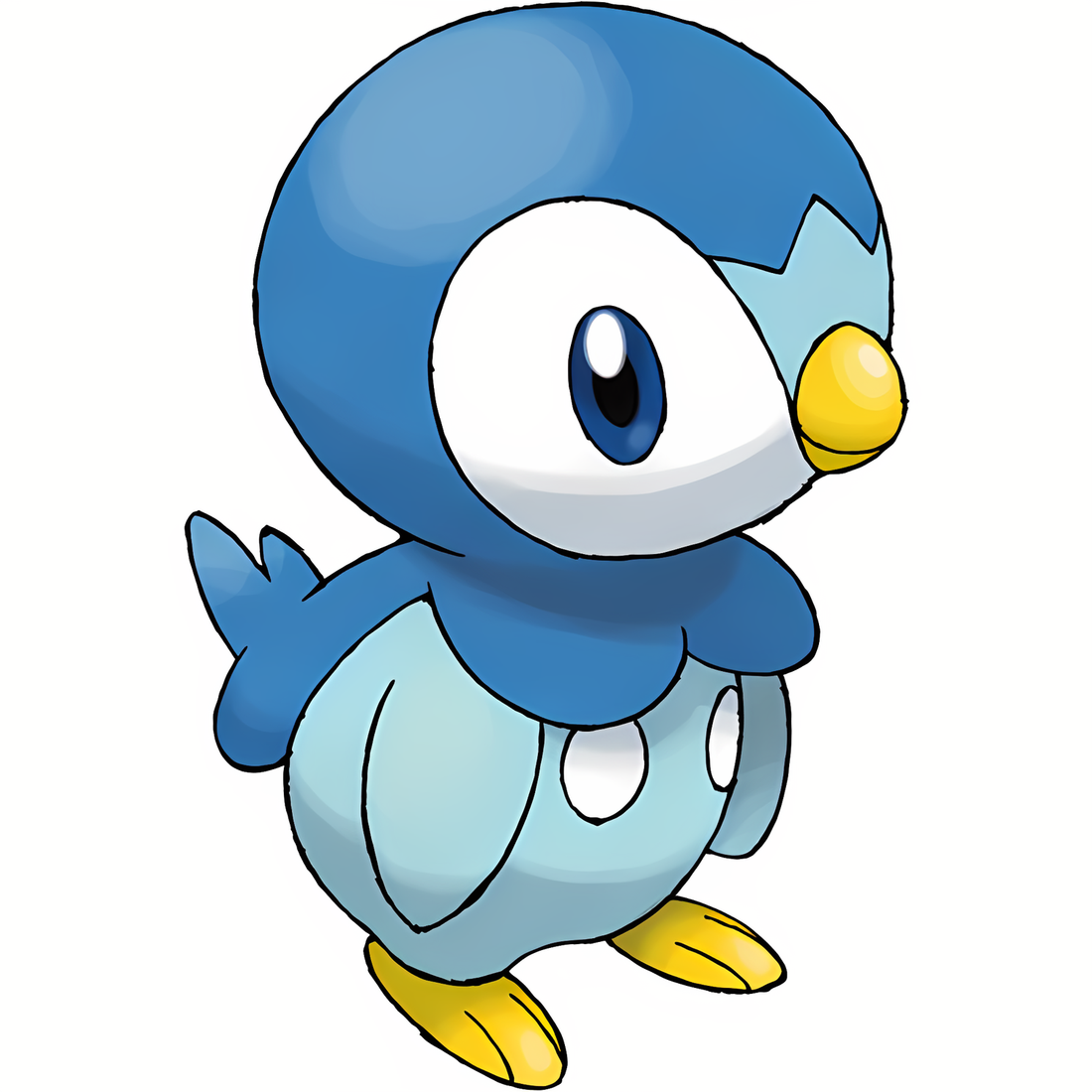 Tiplouf, artwork officiel Pokémon