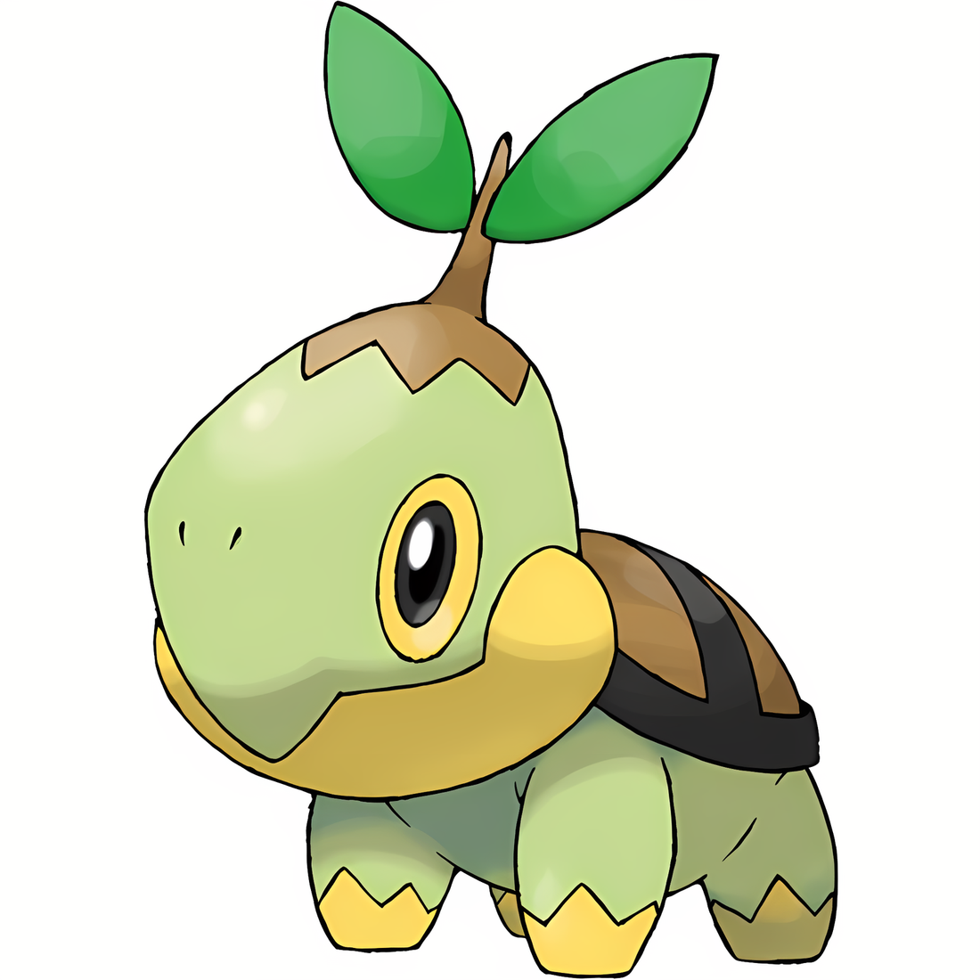 Tortipouss, artwork officiel Pokémon