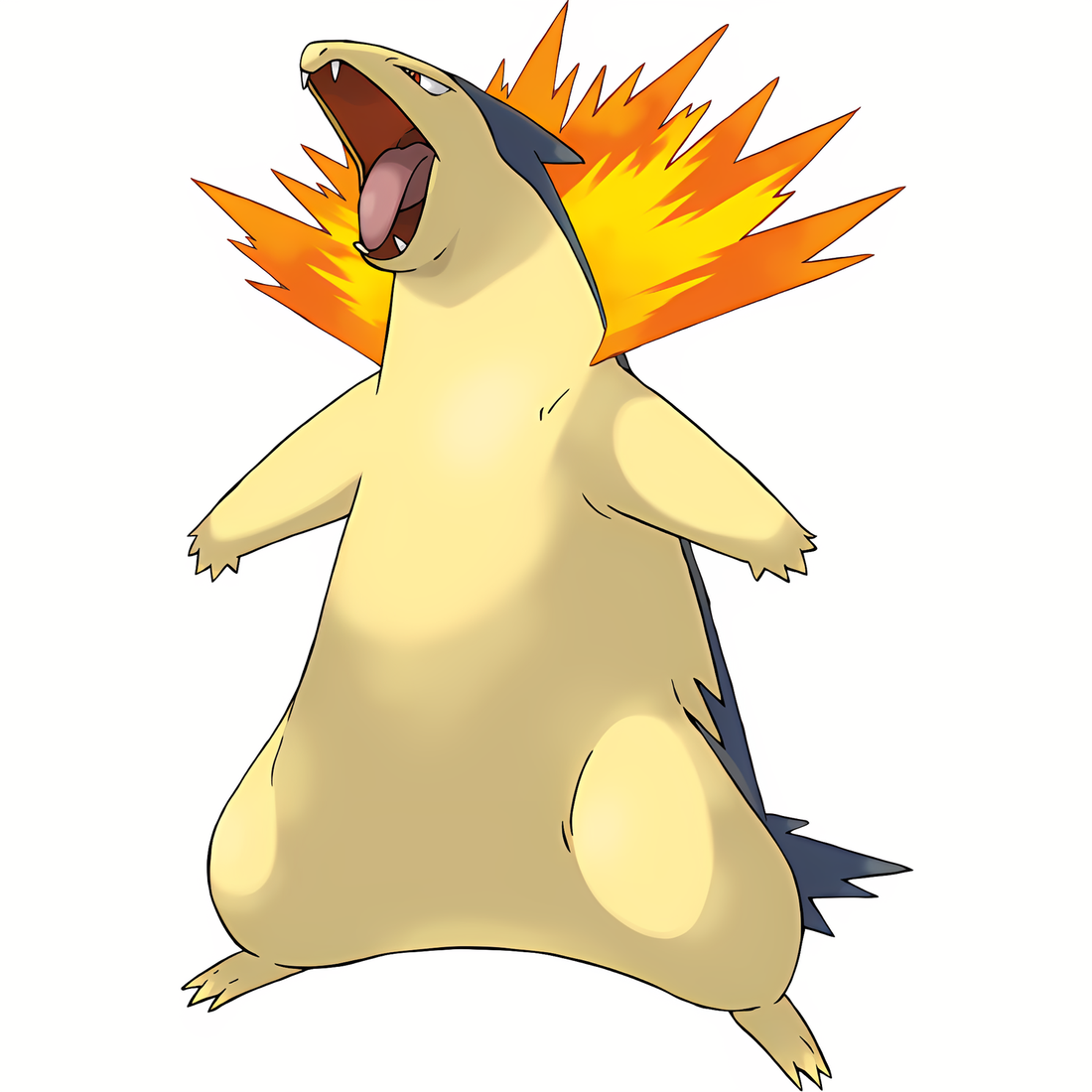 Typhlosion, artwork officiel Pokémon