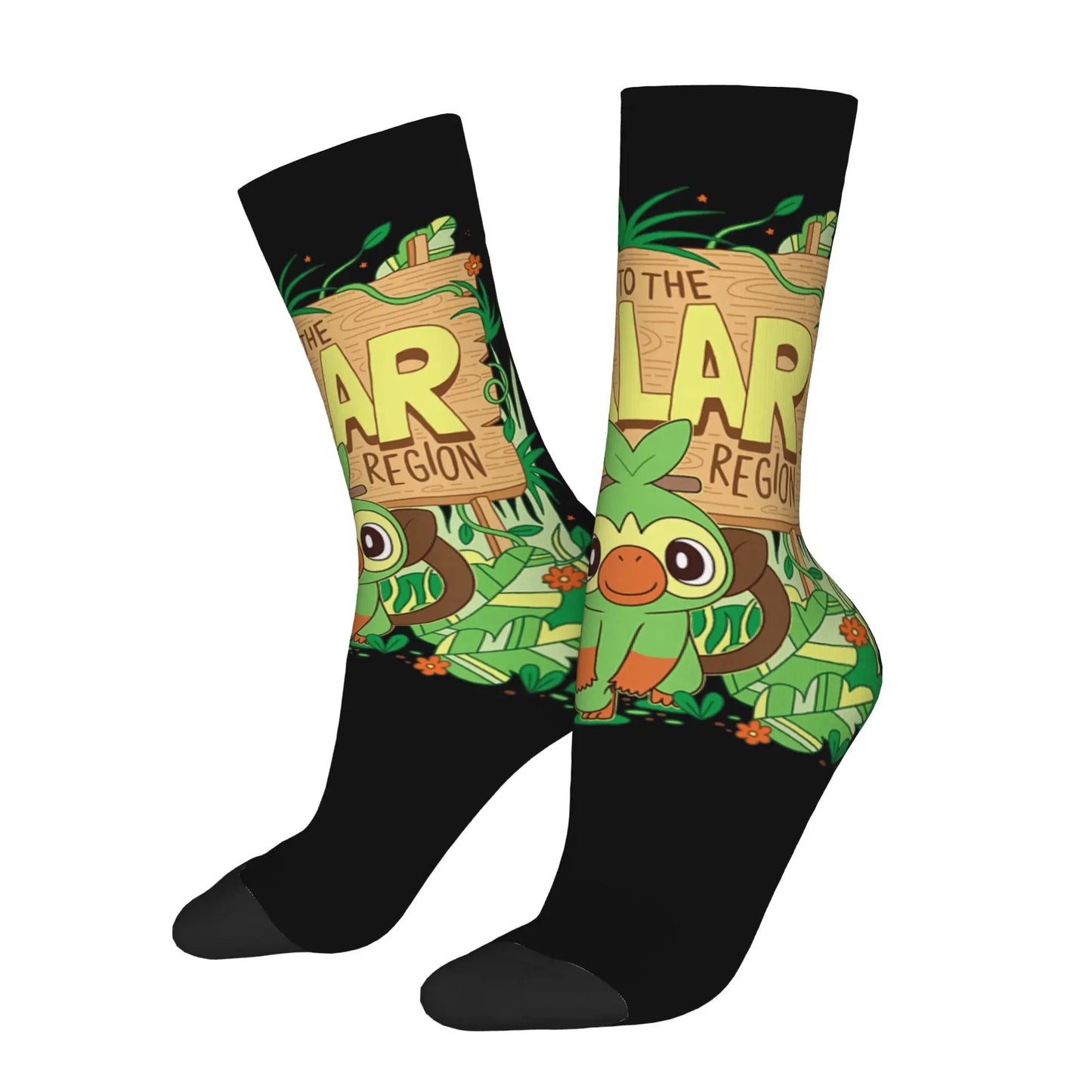 Chaussettes Pokémon - Région de Galar